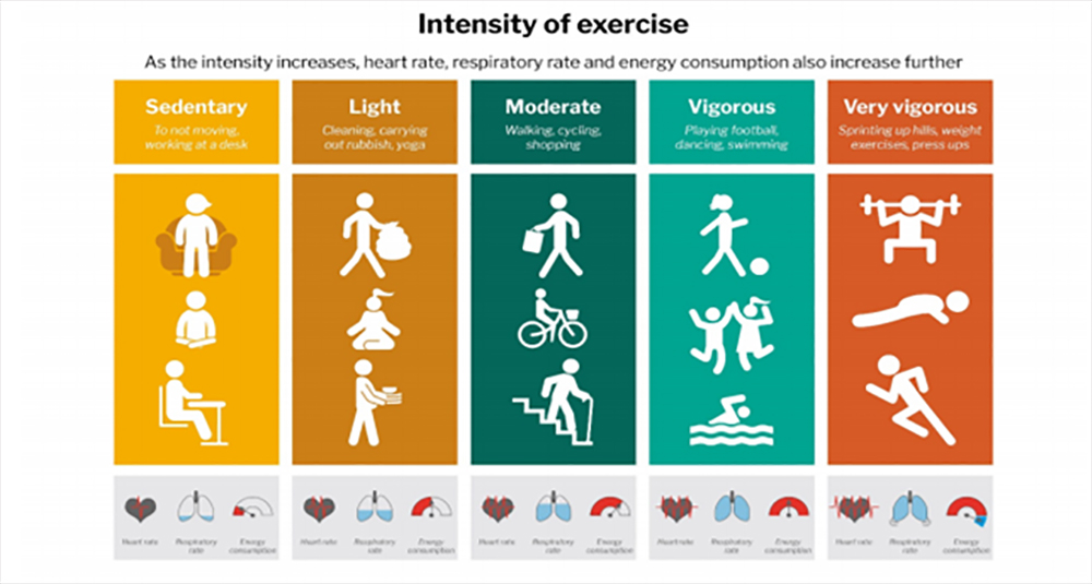 moderate physical activity definition calories per day