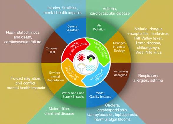 1 Impacts of climate change on human health (Source: Centers for... |  Download Scientific Diagram