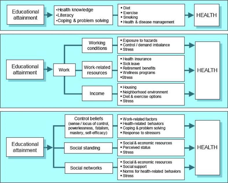 A diagram of health care  Description automatically generated